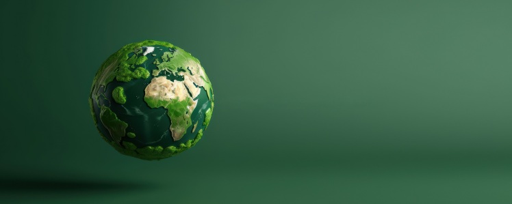 The Use of Organic Fertilizers and Their Impact on the Environment